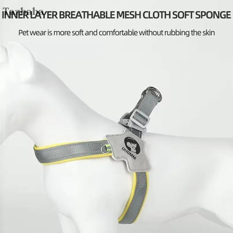 Pet Cat Dog Harness, LeashSet, Adjustable Puppy Harness Tazbaba